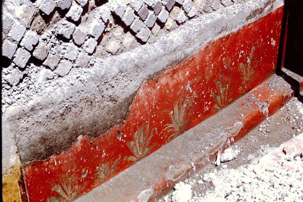 Oplontis, 1968. Room 20, remains of red painted zoccolo with plants, from north wall. Photo by Stanley A. Jashemski.
Source: The Wilhelmina and Stanley A. Jashemski archive in the University of Maryland Library, Special Collections (See collection page) and made available under the Creative Commons Attribution-Non Commercial License v.4. See Licence and use details. J68f1461