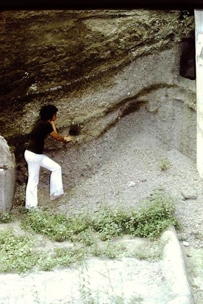 Oplontis, 1973. Layers of lapilli. Photo by Stanley A. Jashemski.
Source: The Wilhelmina and Stanley A. Jashemski archive in the University of Maryland Library, Special Collections (See collection page) and made available under the Creative Commons Attribution-Non Commercial License v.4. See Licence and use details. J73f0362