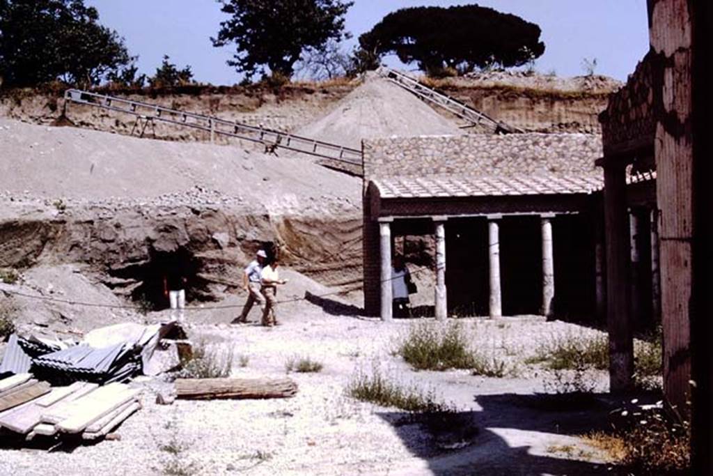 Oplontis, 1973. Looking east across garden area on north side of Villa. Photo by Stanley A. Jashemski.
Source: The Wilhelmina and Stanley A. Jashemski archive in the University of Maryland Library, Special Collections (See collection page) and made available under the Creative Commons Attribution-Non Commercial License v.4. See Licence and use details. J73f0377