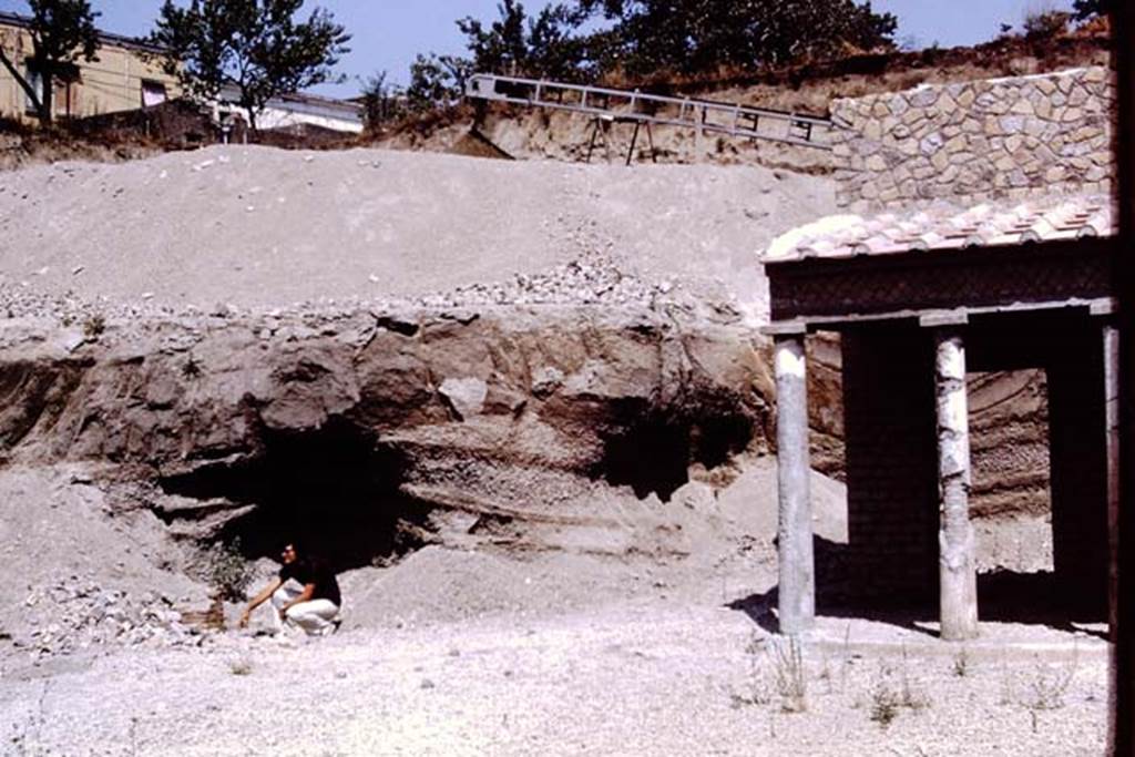 Oplontis, 1973. Unexcavated on east side. Photo by Stanley A. Jashemski.
Source: The Wilhelmina and Stanley A. Jashemski archive in the University of Maryland Library, Special Collections (See collection page) and made available under the Creative Commons Attribution-Non Commercial License v.4. See Licence and use details. J73f0378
