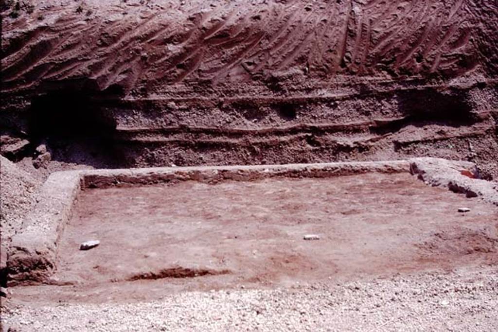 Oplontis, 1974. Room 58, looking east.  According to Wilhelmina, �at the same time as excavating the tree-trunk and root, they were also examining a small area directly to the east of the portico (room 58), where a small garden had been created by filling the foundations of a room with soil. There were 8 root cavities planted in three rows in this garden.�  Photo by Stanley A. Jashemski.   
Source: The Wilhelmina and Stanley A. Jashemski archive in the University of Maryland Library, Special Collections (See collection page) and made available under the Creative Commons Attribution-Non Commercial License v.4. See Licence and use details. J74f0635
