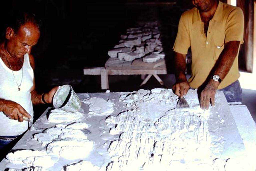 Oplontis Villa of Poppea, 1975 or 1974. Concentration while restoring. Photo by Stanley A. Jashemski.
Source: The Wilhelmina and Stanley A. Jashemski archive in the University of Maryland Library, Special Collections (See collection page) and made available under the Creative Commons Attribution-Non Commercial License v.4. See Licence and use details. J74f0879
According to Wilhelmina – “The restorers were anxious to show us the small fragments of painted ceiling plaster that had been retrieved from the lapilli in a recently excavated room. The plaster had fallen when the panels of tied reeds, to which the plaster had been applied, had been consumed by the eruption. The only clue the restorers had in solving this gigantic jigsaw puzzle were the imprints of the reeds in the plaster, and their uncanny skill. They later showed us a portion of the ceiling that had been put back together in its original position, and the painted design on the ceiling was intact. “