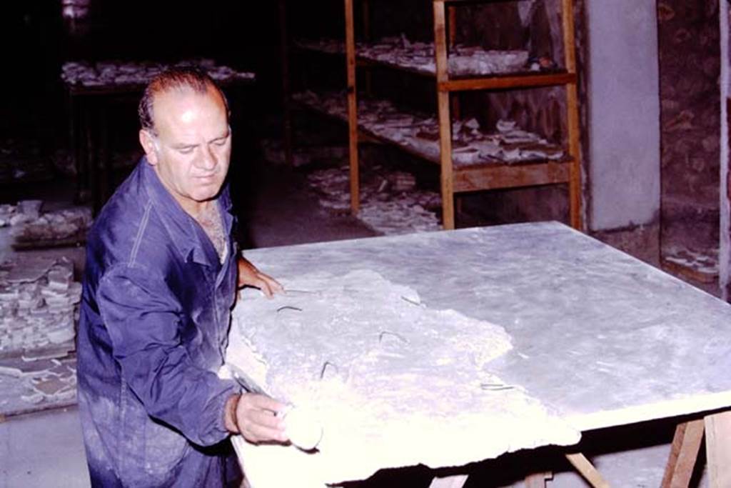 Oplontis, 1975. Cement now dry, time to reveal the completed fragment. Photo by Stanley A. Jashemski.
Source: The Wilhelmina and Stanley A. Jashemski archive in the University of Maryland Library, Special Collections (See collection page) and made available under the Creative Commons Attribution-Non Commercial License v.4. See Licence and use details. J75f0110