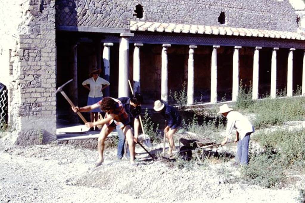 Oplontis Villa of Poppea, 1975 or 1974. Start of work in north garden again, near the huge root cavity found the previous year. Photo by Stanley A. Jashemski.
Source: The Wilhelmina and Stanley A. Jashemski archive in the University of Maryland Library, Special Collections (See collection page) and made available under the Creative Commons Attribution-Non Commercial License v.4. See Licence and use details. J74f0893