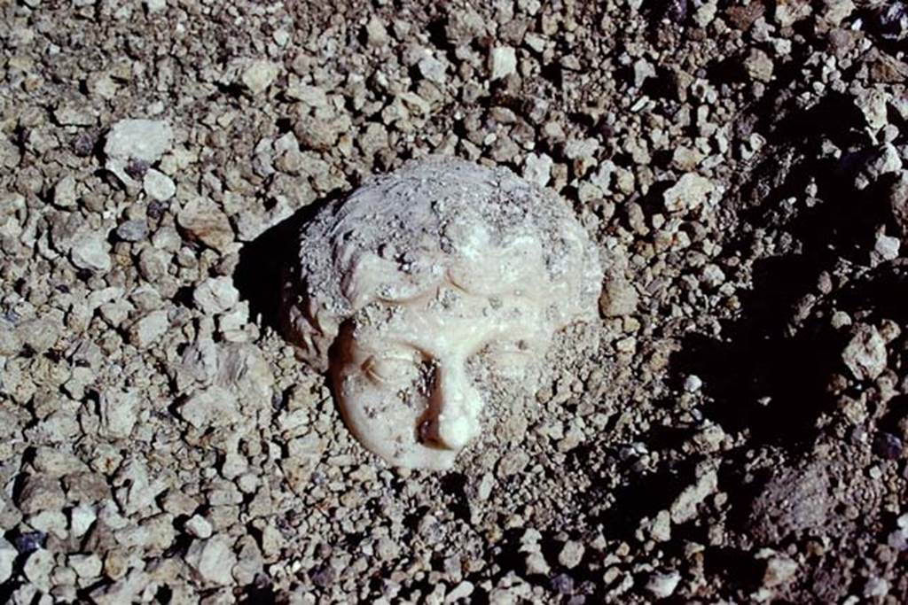 Oplontis, 1975. Marble head emerging from lapilli. Photo by Stanley A. Jashemski.
Source: The Wilhelmina and Stanley A. Jashemski archive in the University of Maryland Library, Special Collections (See collection page) and made available under the Creative Commons Attribution-Non Commercial License v.4. See Licence and use details. J74f0900
According to Wilhelmina “There was great excitement when early in the morning a beautiful head of a woman sculptured from Greek marble came into view, then a marble shaft.”