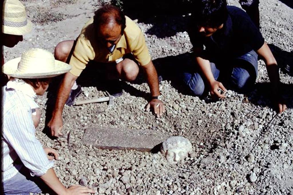 Oplontis, 1975. Discovery of a marble head and shaft. Photo by Stanley A. Jashemski.
Source: The Wilhelmina and Stanley A. Jashemski archive in the University of Maryland Library, Special Collections (See collection page) and made available under the Creative Commons Attribution-Non Commercial License v.4. See Licence and use details. J74f0901