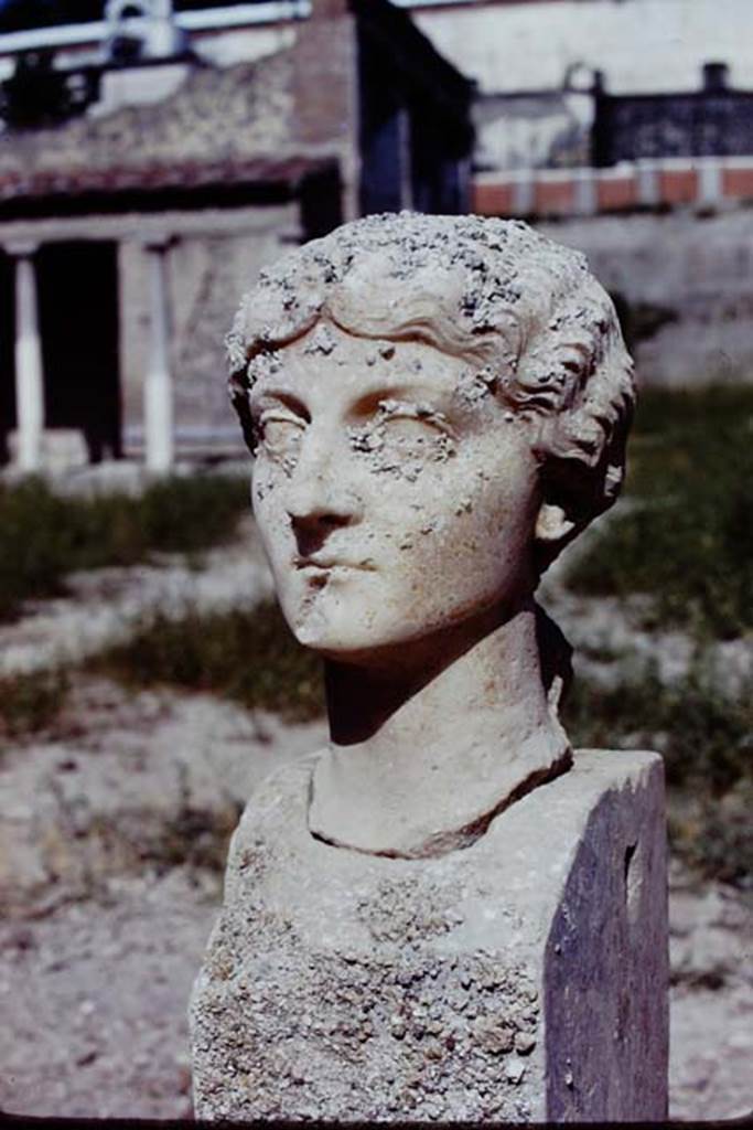 Oplontis, 1975. The shaft was set up, and the head fitted perfectly. Photo by Stanley A. Jashemski.
Source: The Wilhelmina and Stanley A. Jashemski archive in the University of Maryland Library, Special Collections (See collection page) and made available under the Creative Commons Attribution-Non Commercial License v.4. See Licence and use details. J74f0908