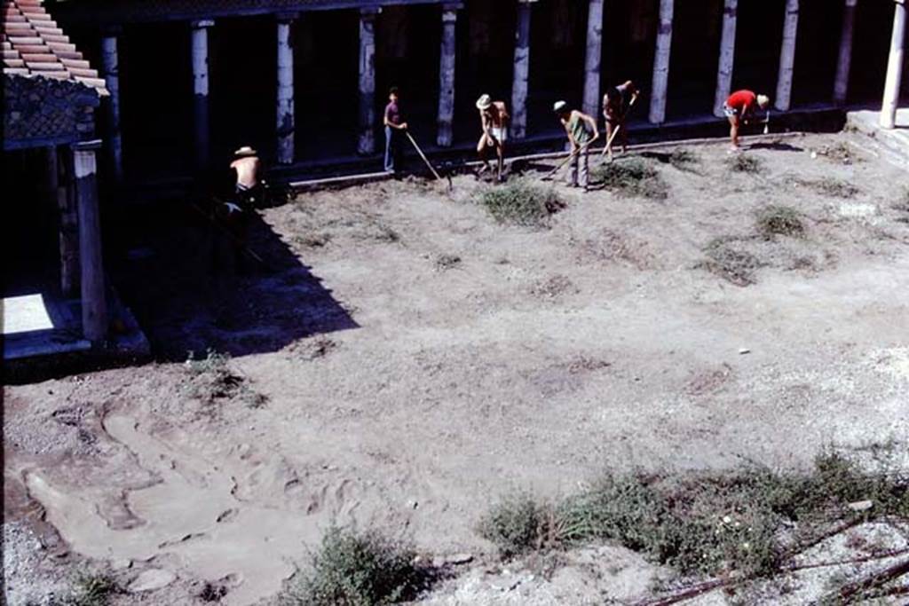 Oplontis, 1975. Looking south to excavation near room 34, the east portico of the north garden. On the left the large “strange root” from the previous year’s dig, can now be seen completely filled with cement. Photo by Stanley A. Jashemski.
Source: The Wilhelmina and Stanley A. Jashemski archive in the University of Maryland Library, Special Collections (See collection page) and made available under the Creative Commons Attribution-Non Commercial License v.4. See Licence and use details. J75f0028