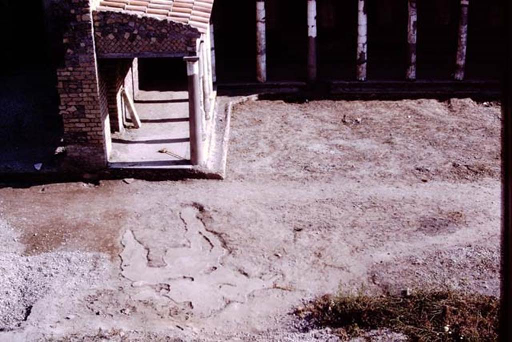 Oplontis, 1975. Looking south to east portico, 34 of north garden, across large strange root-cavity. On the right the excavated and cleaned outline of the path running east to west across the rear garden can be seen. Photo by Stanley A. Jashemski.
Source: The Wilhelmina and Stanley A. Jashemski archive in the University of Maryland Library, Special Collections (See collection page) and made available under the Creative Commons Attribution-Non Commercial License v.4. See Licence and use details. J75f0063