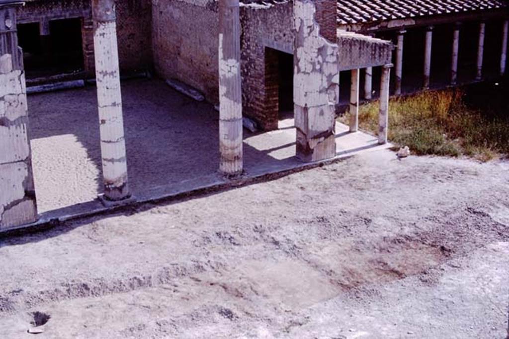 Oplontis, 1975. Looking south-west towards room 21, the grand salon, across cleared and excavated area, showing the pathways at the central axis of the villa.
Photo by Stanley A. Jashemski.
Source: The Wilhelmina and Stanley A. Jashemski archive in the University of Maryland Library, Special Collections (See collection page) and made available under the Creative Commons Attribution-Non Commercial License v.4. See Licence and use details. J75f0064
According to Wilhelmina – “the beautiful perspective through the atrium (room 5) continued through the enclosed garden (room 20) and the grand salon (room 21), with its monumental entrance at the rear, to a landscaped passageway on the central axis of the villa.”