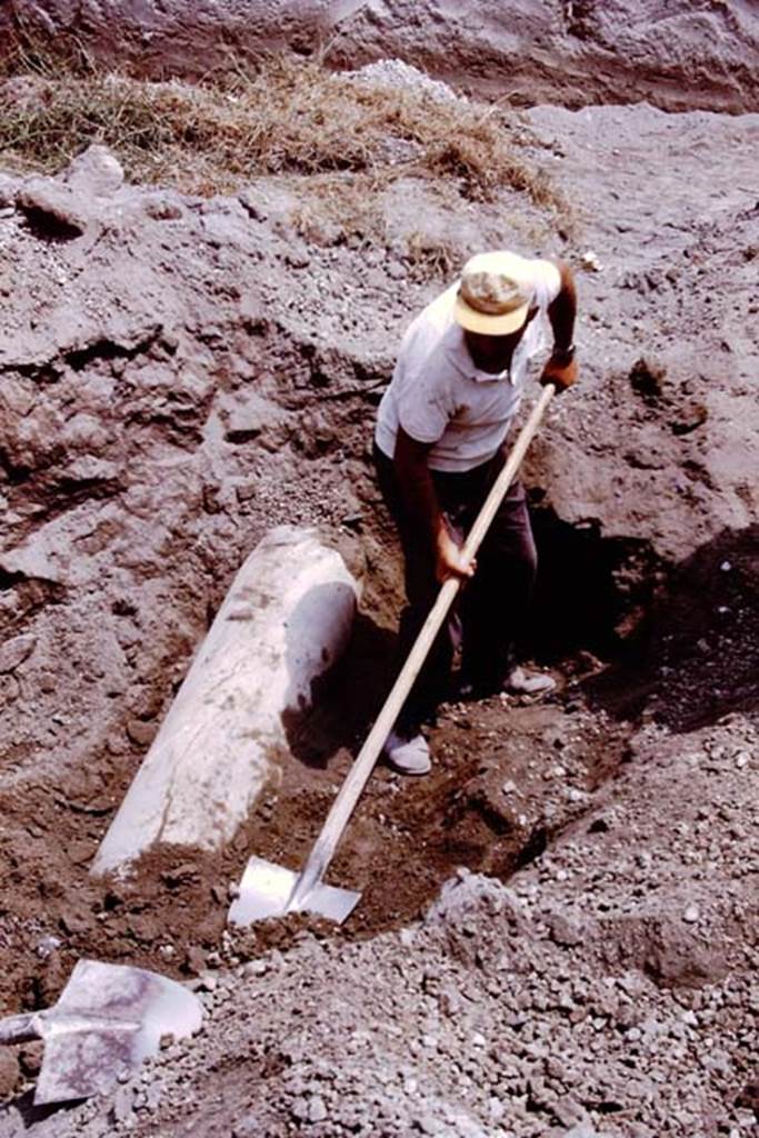 Oplontis, 1975. Digging out of the column. Photo by Stanley A. Jashemski.
Source: The Wilhelmina and Stanley A. Jashemski archive in the University of Maryland Library, Special Collections (See collection page) and made available under the Creative Commons Attribution-Non Commercial License v.4. See Licence and use details. J75f0076