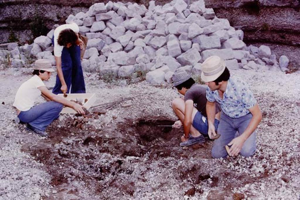 Oplontis, 1975. Finding of a root cavity. Photo by Stanley A. Jashemski.
Source: The Wilhelmina and Stanley A. Jashemski archive in the University of Maryland Library, Special Collections (See collection page) and made available under the Creative Commons Attribution-Non Commercial License v.4. See Licence and use details. J75f0071