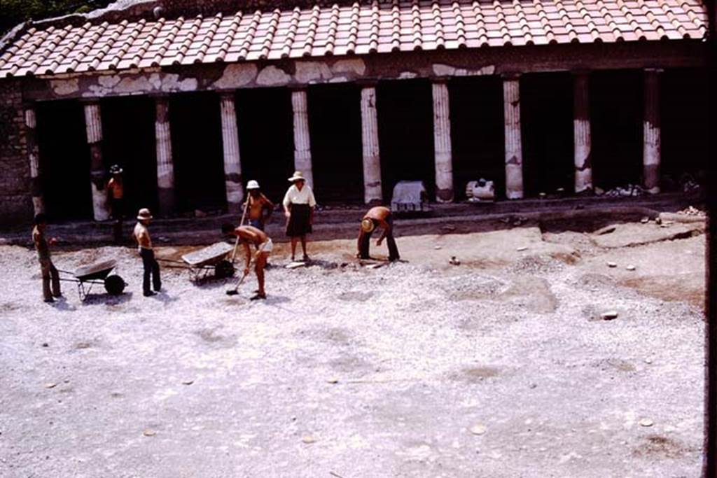 Oplontis, 1975. Looking towards the west side of area 59, the south-east peristyle. Photo by Stanley A. Jashemski.
Source: The Wilhelmina and Stanley A. Jashemski archive in the University of Maryland Library, Special Collections (See collection page) and made available under the Creative Commons Attribution-Non Commercial License v.4. See Licence and use details. J75f0121