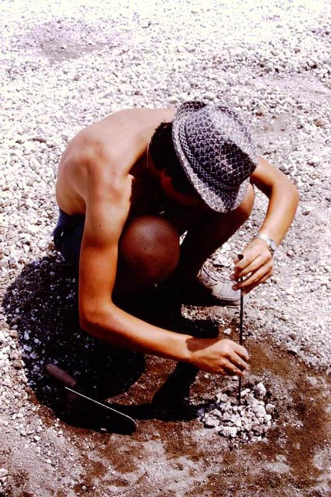 Oplontis, 1975. Clearing a root cavity of its lapilli. Photo by Stanley A. Jashemski.
Source: The Wilhelmina and Stanley A. Jashemski archive in the University of Maryland Library, Special Collections (See collection page) and made available under the Creative Commons Attribution-Non Commercial License v.4. See Licence and use details. J75f0122