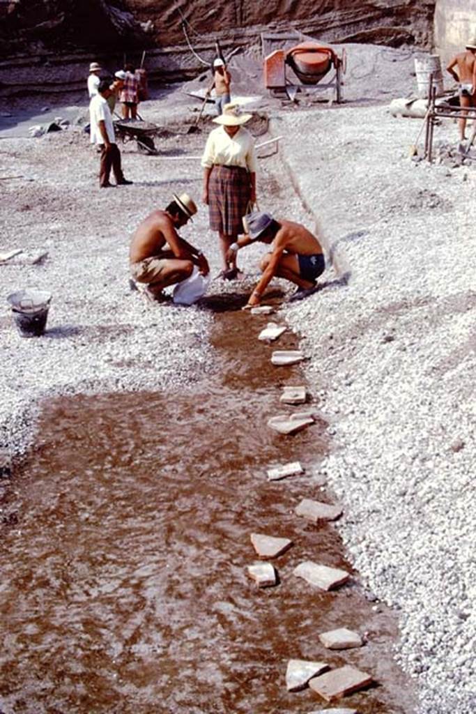 Oplontis, 1975. Looking north along line of root cavities on east side of north garden. Photo by Stanley A. Jashemski.
Source: The Wilhelmina and Stanley A. Jashemski archive in the University of Maryland Library, Special Collections (See collection page) and made available under the Creative Commons Attribution-Non Commercial License v.4. See Licence and use details. J75f0148