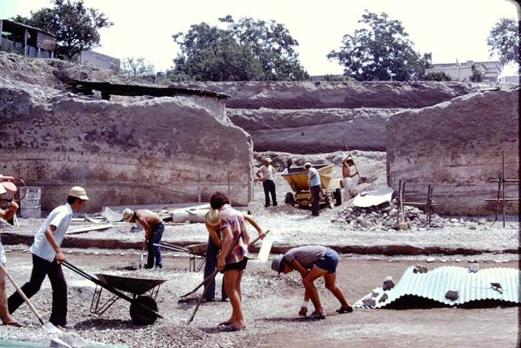 Oplontis, 1975. Looking east in north garden, near to the doorway to room 69, with a large root cavity under the corrugated sheet, on the right. Photo by Stanley A. Jashemski.
Source: The Wilhelmina and Stanley A. Jashemski archive in the University of Maryland Library, Special Collections (See collection page) and made available under the Creative Commons Attribution-Non Commercial License v.4. See Licence and use details. J75f0155