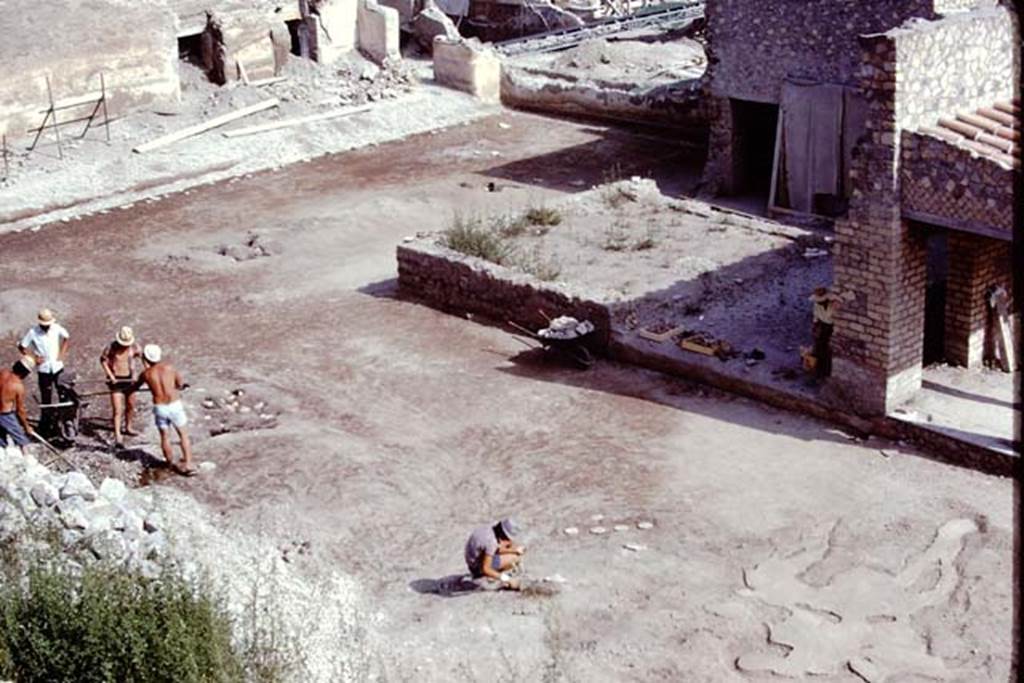 Oplontis, 1975. Looking south-east across cleaned east end of north garden. Photo by Stanley A. Jashemski.
Source: The Wilhelmina and Stanley A. Jashemski archive in the University of Maryland Library, Special Collections (See collection page) and made available under the Creative Commons Attribution-Non Commercial License v.4. See Licence and use details. J75f0176