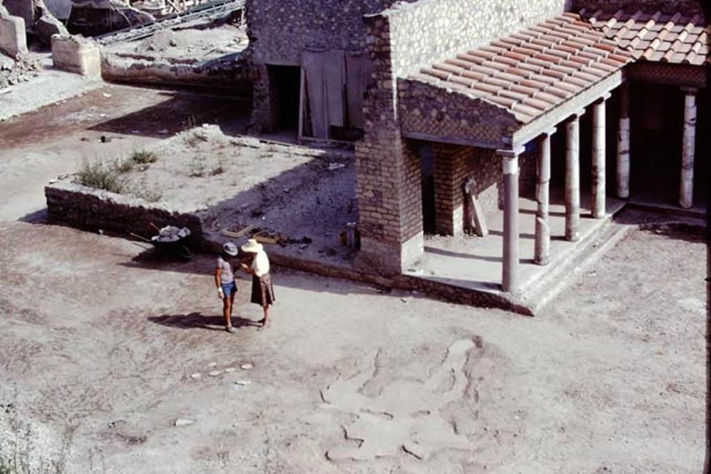 Oplontis, 1975. Looking towards area of room 58, and east portico 34, across the large strange root cavity filled in the previous year. Photo by Stanley A. Jashemski.
Source: The Wilhelmina and Stanley A. Jashemski archive in the University of Maryland Library, Special Collections (See collection page) and made available under the Creative Commons Attribution-Non Commercial License v.4. See Licence and use details. J75f0177