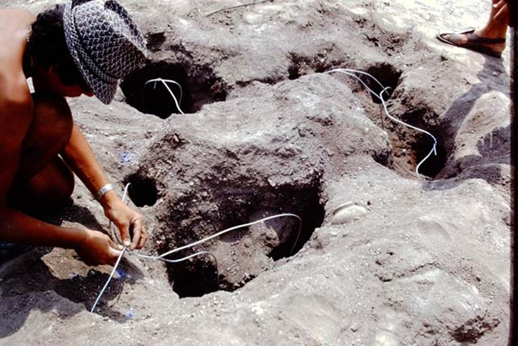 Oplontis, 1975. Reinforcing the root cavity with wire. Photo by Stanley A. Jashemski.
Source: The Wilhelmina and Stanley A. Jashemski archive in the University of Maryland Library, Special Collections (See collection page) and made available under the Creative Commons Attribution-Non Commercial License v.4. See Licence and use details. J75f0237