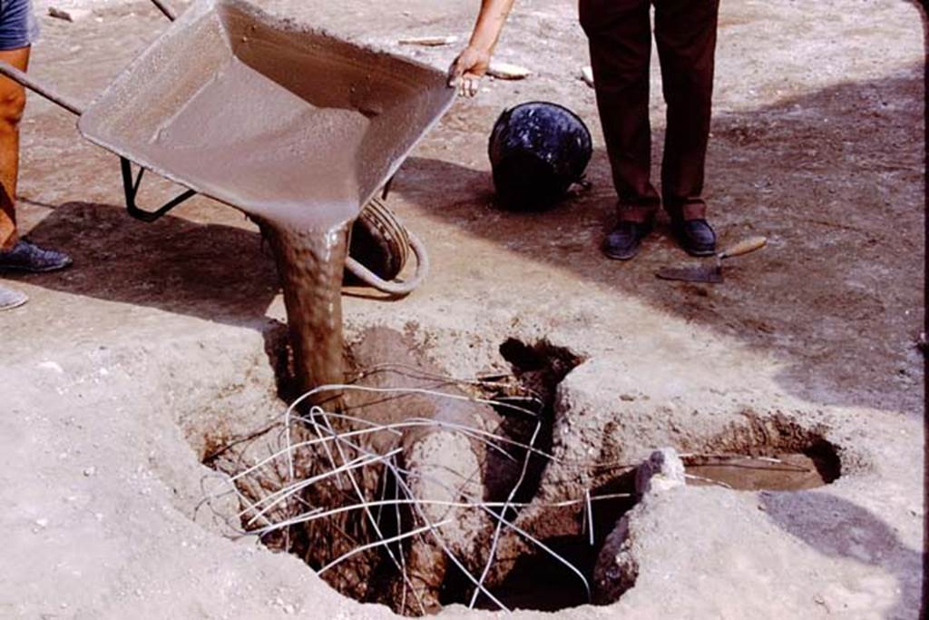 Oplontis, 1975. Filling the large tree-root cavities. Photo by Stanley A. Jashemski.
Source: The Wilhelmina and Stanley A. Jashemski archive in the University of Maryland Library, Special Collections (See collection page) and made available under the Creative Commons Attribution-Non Commercial License v.4. See Licence and use details. J75f0277