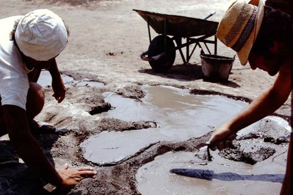 Oplontis, 1975. Smoothing the cement of the tree-root cavity. Photo by Stanley A. Jashemski.
Source: The Wilhelmina and Stanley A. Jashemski archive in the University of Maryland Library, Special Collections (See collection page) and made available under the Creative Commons Attribution-Non Commercial License v.4. See Licence and use details. J75f0324