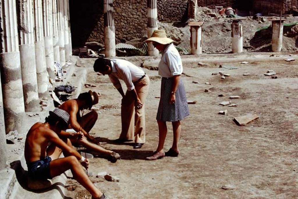 Oplontis, 1975. Cleaning out the root cavities in the south-east peristyle, area 59. Looking north along the west side. Photo by Stanley A. Jashemski.
Source: The Wilhelmina and Stanley A. Jashemski archive in the University of Maryland Library, Special Collections (See collection page) and made available under the Creative Commons Attribution-Non Commercial License v.4. See Licence and use details. J75f0181