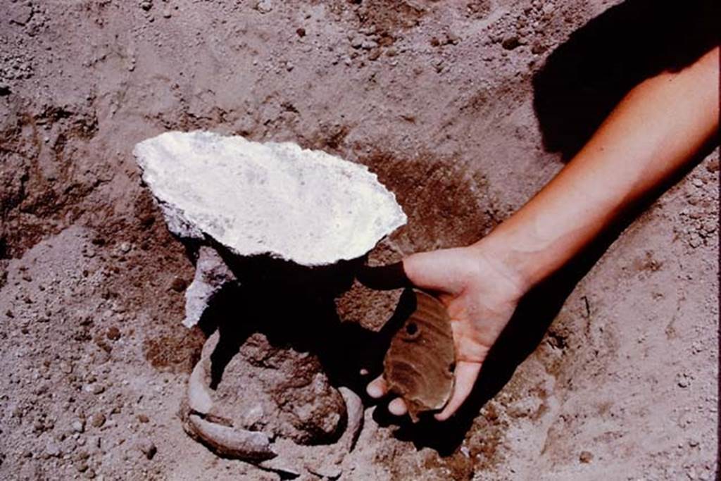 Oplontis, 1975. Piece of buried terracotta pot, showing two of the original drainage holes. Photo by Stanley A. Jashemski.
Source: The Wilhelmina and Stanley A. Jashemski archive in the University of Maryland Library, Special Collections (See collection page) and made available under the Creative Commons Attribution-Non Commercial License v.4. See Licence and use details. J75f0494