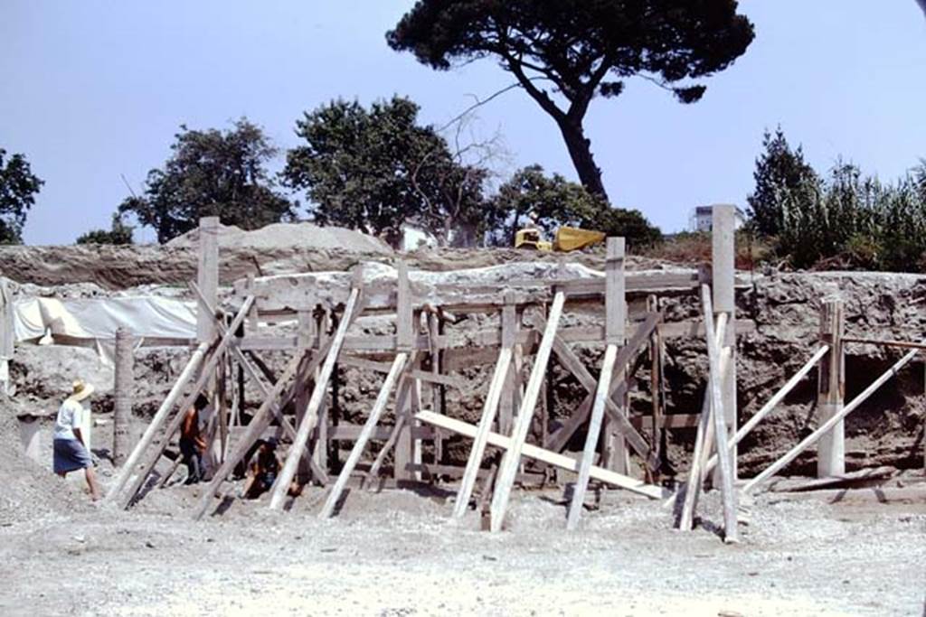 Oplontis, 1975. East side of area 59, the south-east peristyle. Photo by Stanley A. Jashemski.
Source: The Wilhelmina and Stanley A. Jashemski archive in the University of Maryland Library, Special Collections (See collection page) and made available under the Creative Commons Attribution-Non Commercial License v.4. See Licence and use details. J75f0336