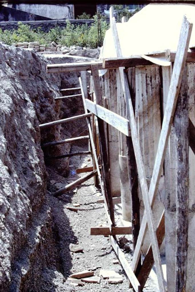 Oplontis, 1975. Looking south behind the columns on the east side of area 59.
Photo by Stanley A. Jashemski.
Source: The Wilhelmina and Stanley A. Jashemski archive in the University of Maryland Library, Special Collections (See collection page) and made available under the Creative Commons Attribution-Non Commercial License v.4. See Licence and use details.
J75f0481