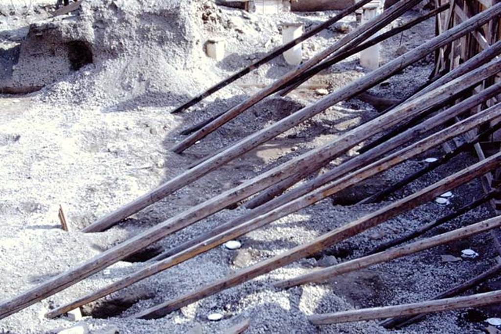 Oplontis, 1975. Area 59, looking north along east side of south-east peristyle, with filled and painted root cavities. Photo by Stanley A. Jashemski.
Source: The Wilhelmina and Stanley A. Jashemski archive in the University of Maryland Library, Special Collections (See collection page) and made available under the Creative Commons Attribution-Non Commercial License v.4. See Licence and use details. J75f0444