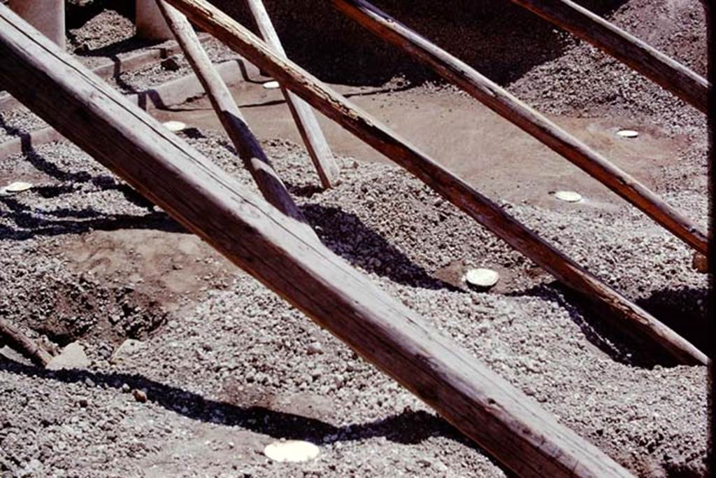 Oplontis, 1975. Root cavities on east side of area 59, the south-east peristyle. Photo by Stanley A. Jashemski.
Source: The Wilhelmina and Stanley A. Jashemski archive in the University of Maryland Library, Special Collections (See collection page) and made available under the Creative Commons Attribution-Non Commercial License v.4. See Licence and use details. J75f0511