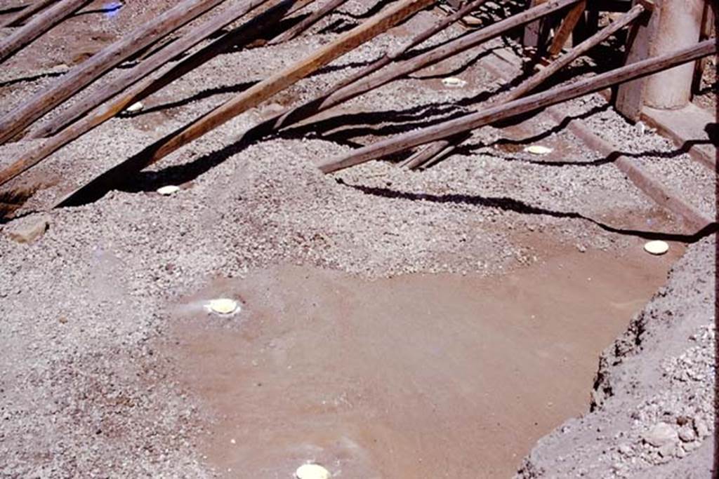 Oplontis, 1975. Root cavities on east side of area 59, the south-east peristyle. Photo by Stanley A. Jashemski.
Source: The Wilhelmina and Stanley A. Jashemski archive in the University of Maryland Library, Special Collections (See collection page) and made available under the Creative Commons Attribution-Non Commercial License v.4. See Licence and use details. J75f0513
