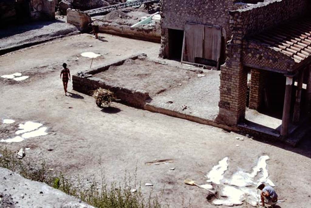 Oplontis, 1975. Looking south-east across east end of north garden towards area of room 58, and painted plaster covered up on exterior wall of room 55, and with large strange root cutting from previous year, on right. Photo by Stanley A. Jashemski.
Source: The Wilhelmina and Stanley A. Jashemski archive in the University of Maryland Library, Special Collections (See collection page) and made available under the Creative Commons Attribution-Non Commercial License v.4. See Licence and use details. J75f0392