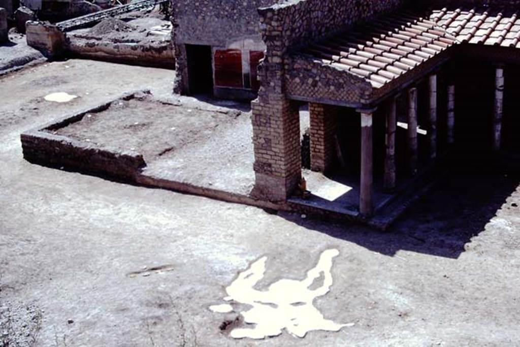 Oplontis, 1975. Looking south-east across east end of north garden towards area of room 58, and painted plaster on exterior wall of room 55, and with large strange root cutting from previous year. Photo by Stanley A. Jashemski.
Source: The Wilhelmina and Stanley A. Jashemski archive in the University of Maryland Library, Special Collections (See collection page) and made available under the Creative Commons Attribution-Non Commercial License v.4. See Licence and use details. J75f0403
