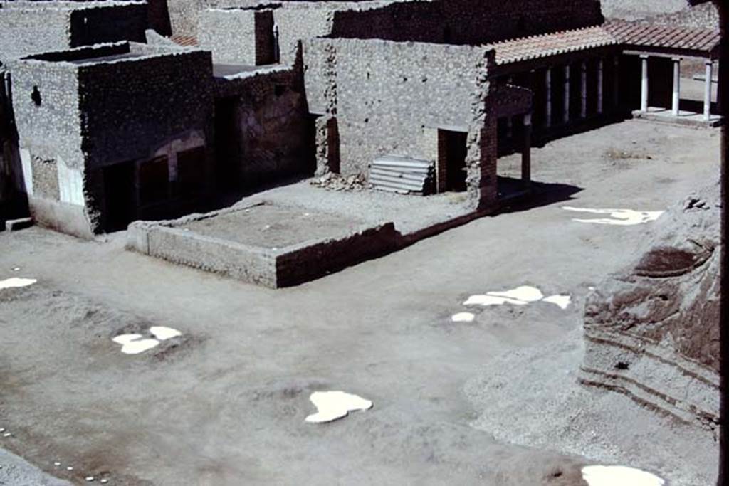 Oplontis, 1975. Looking south-west across east side of north garden, with four tree-root cavities, and two clumps of small trees/bushes, possibly oleanders. Photo by Stanley A. Jashemski.
Source: The Wilhelmina and Stanley A. Jashemski archive in the University of Maryland Library, Special Collections (See collection page) and made available under the Creative Commons Attribution-Non Commercial License v.4. See Licence and use details. J75f0408