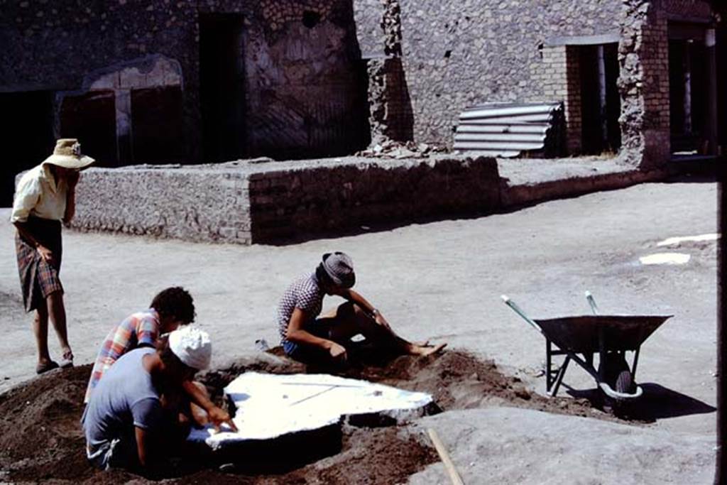 Oplontis, 1975. Digging the soil out from around the filled root cavities. Photo by Stanley A. Jashemski.
Source: The Wilhelmina and Stanley A. Jashemski archive in the University of Maryland Library, Special Collections (See collection page) and made available under the Creative Commons Attribution-Non Commercial License v.4. See Licence and use details. J75f0412