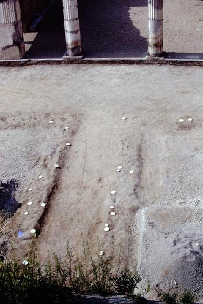 Oplontis, 1975. Central pathway in north garden with root cavities, leading to centre of room 21. Photo by Stanley A. Jashemski.
Source: The Wilhelmina and Stanley A. Jashemski archive in the University of Maryland Library, Special Collections (See collection page) and made available under the Creative Commons Attribution-Non Commercial License v.4. See Licence and use details. J75f0447