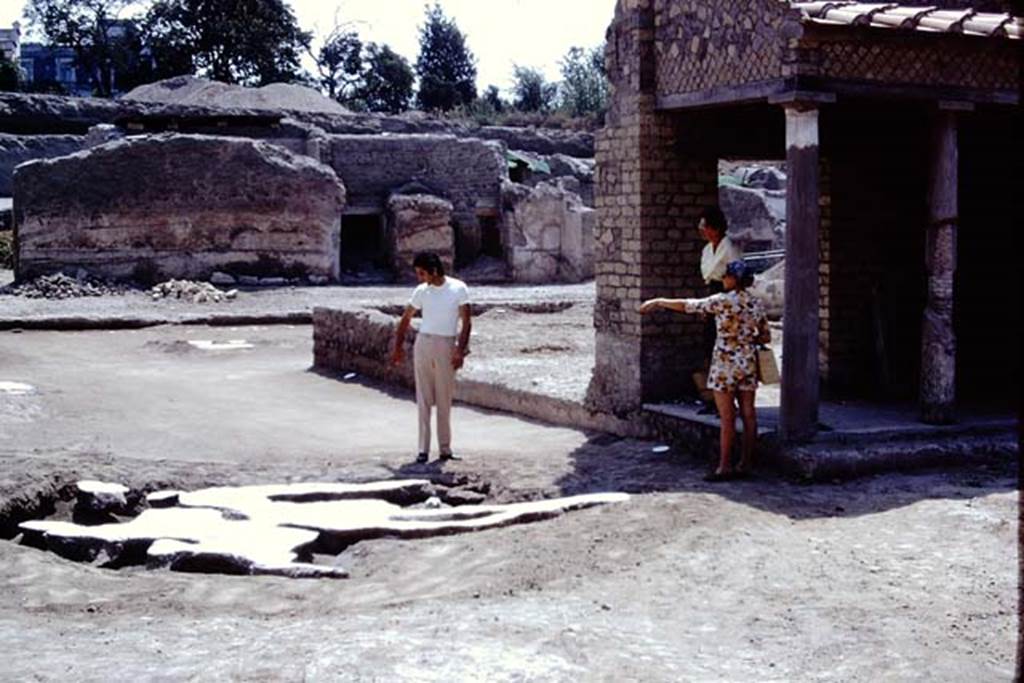 Oplontis, 1975. Looking south-east across strange root cavity at north end of room 34, the east portico. At the rear are the two doors leading into room 64. Photo by Stanley A. Jashemski.
Source: The Wilhelmina and Stanley A. Jashemski archive in the University of Maryland Library, Special Collections (See collection page) and made available under the Creative Commons Attribution-Non Commercial License v.4. See Licence and use details. J75f0471