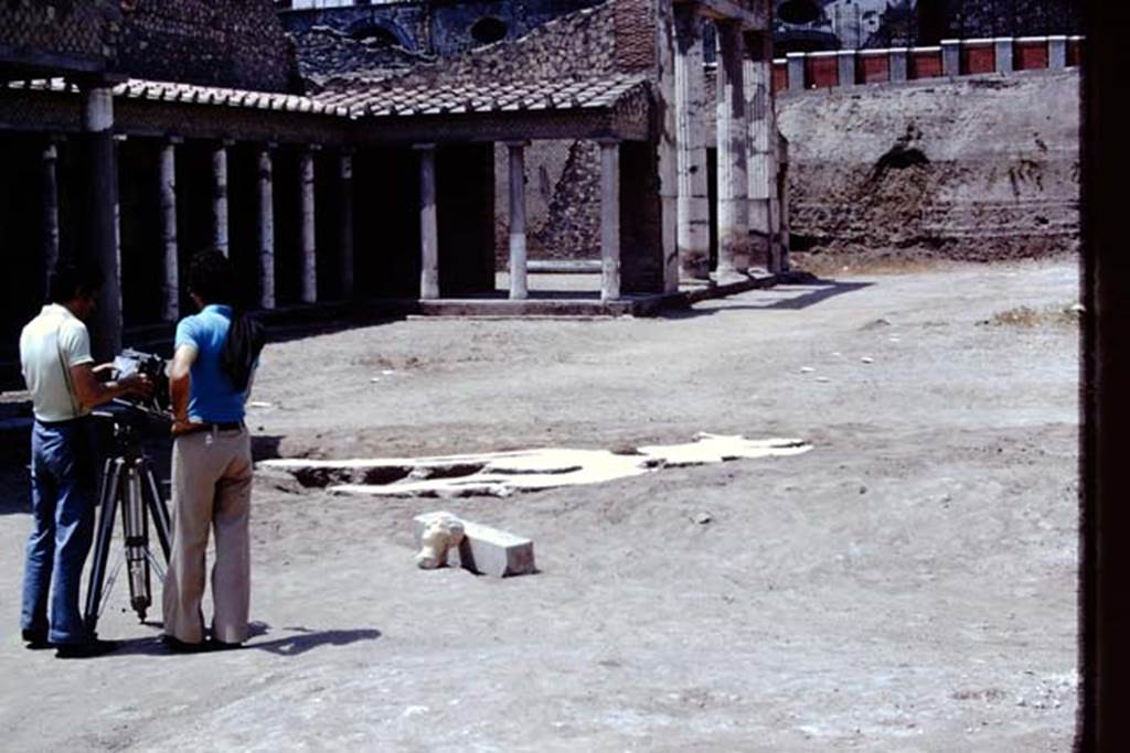 Oplontis, 1975. Looking west across cleaned north garden, with large root cavity, and head and shaft in location of their finding. Photo by Stanley A. Jashemski.
Source: The Wilhelmina and Stanley A. Jashemski archive in the University of Maryland Library, Special Collections (See collection page) and made available under the Creative Commons Attribution-Non Commercial License v.4. See Licence and use details. J75f0485
