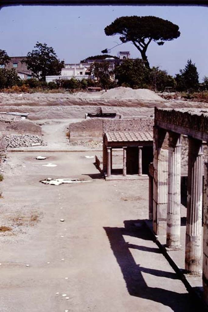 Oplontis, 1975. Looking east across north garden, with line of root cavities alongside the east-west path. Photo by Stanley A. Jashemski.
Source: The Wilhelmina and Stanley A. Jashemski archive in the University of Maryland Library, Special Collections (See collection page) and made available under the Creative Commons Attribution-Non Commercial License v.4. See Licence and use details. J75f0510