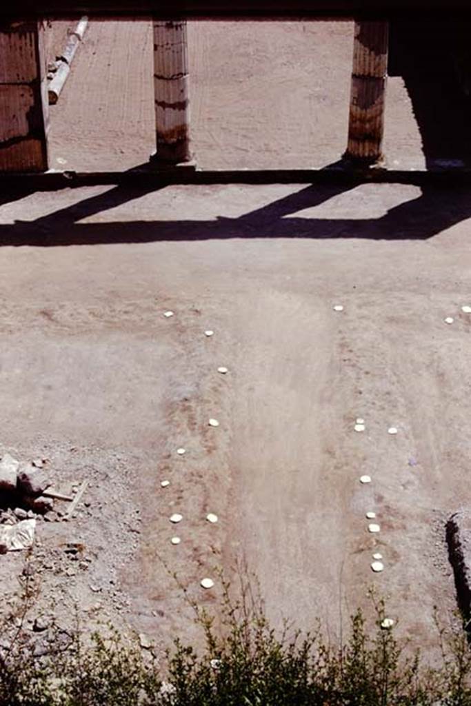Oplontis, 1975. Looking south towards room 21, along the north-south path with its root-cavities. Photo by Stanley A. Jashemski.
Source: The Wilhelmina and Stanley A. Jashemski archive in the University of Maryland Library, Special Collections (See collection page) and made available under the Creative Commons Attribution-Non Commercial License v.4. See Licence and use details. J75f0521
