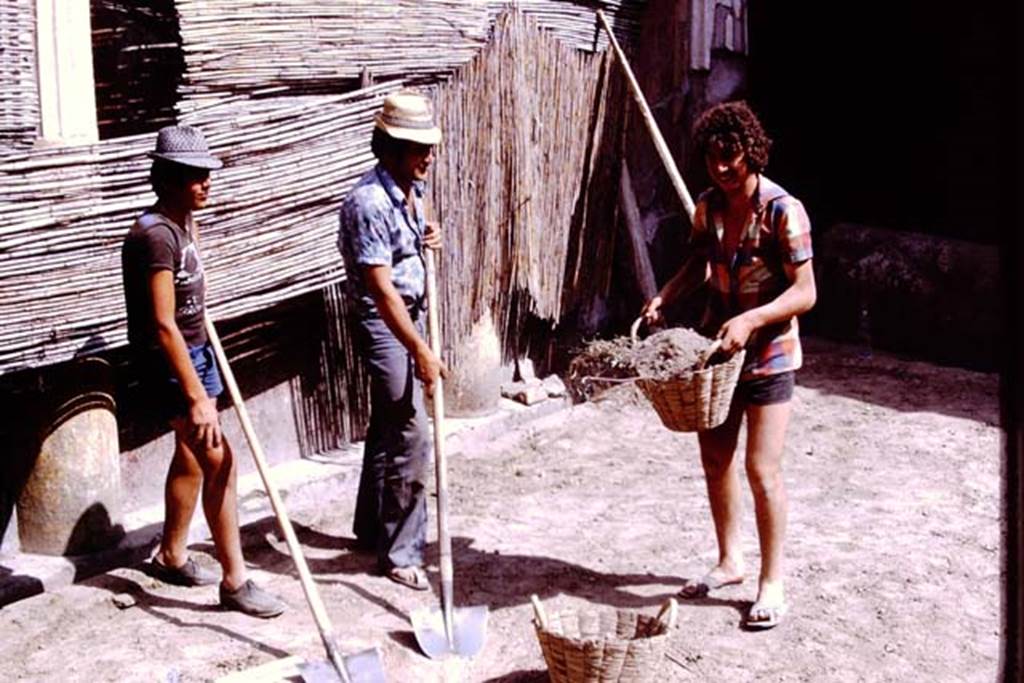 Oplontis, 1975. Area 20, using the baskets the way their ancestors would have done ! Photo by Stanley A. Jashemski.
Source: The Wilhelmina and Stanley A. Jashemski archive in the University of Maryland Library, Special Collections (See collection page) and made available under the Creative Commons Attribution-Non Commercial License v.4. See Licence and use details. J75f0055