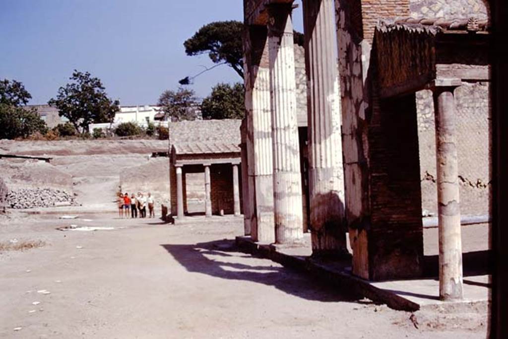 Oplontis, 1975. Looking east across north garden. Photo by Stanley A. Jashemski.
Source: The Wilhelmina and Stanley A. Jashemski archive in the University of Maryland Library, Special Collections (See collection page) and made available under the Creative Commons Attribution-Non Commercial License v.4. See Licence and use details. J75f0530