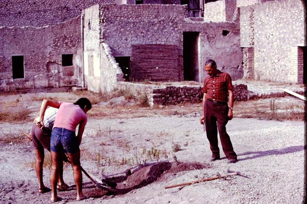 Oplontis, 1977. Area 56, looking south-west, starting to clear the remaining lapilli in the centre of the east side of the north garden. Photo by Stanley A. Jashemski.
Source: The Wilhelmina and Stanley A. Jashemski archive in the University of Maryland Library, Special Collections (See collection page) and made available under the Creative Commons Attribution-Non Commercial License v.4. See Licence and use details. J77f0105