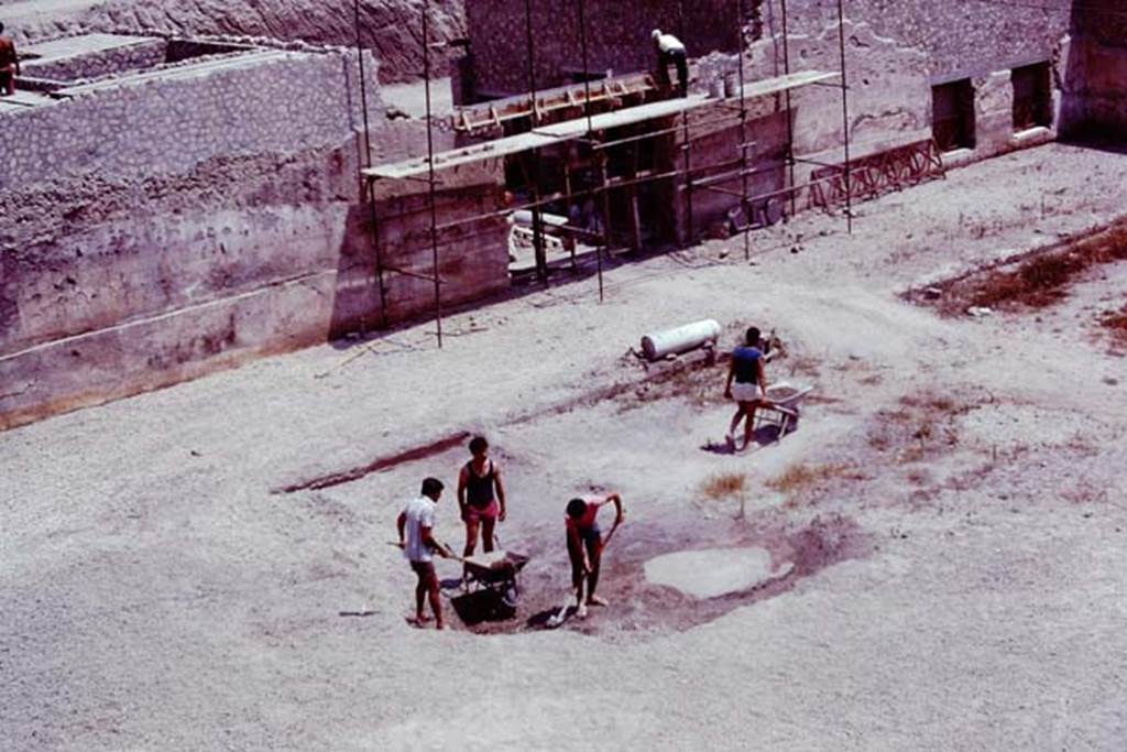 Oplontis, 1977. Area 56, looking south-east at east side of north garden. The doorway with the scaffolding would lead into room 69. The two doorways, on the right, lead into room 64. Photo by Stanley A. Jashemski.
Source: The Wilhelmina and Stanley A. Jashemski archive in the University of Maryland Library, Special Collections (See collection page) and made available under the Creative Commons Attribution-Non Commercial License v.4. See Licence and use details. J77f0108