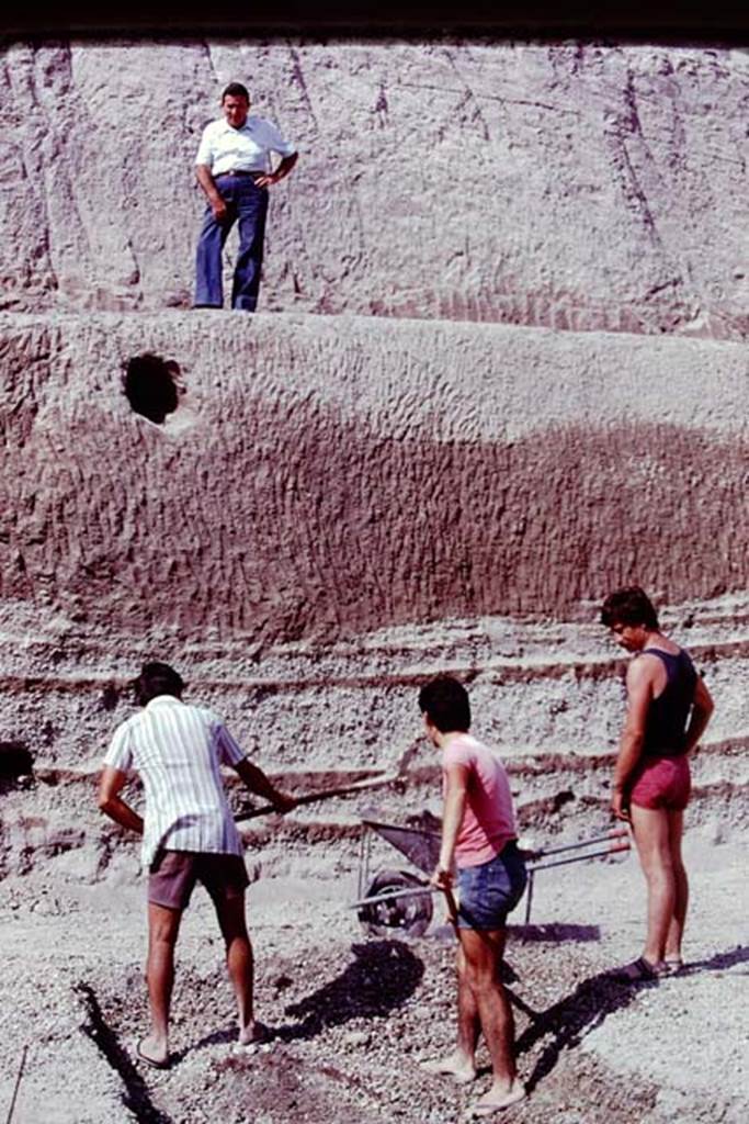 Oplontis, 1977. Digging through to original ground level, and the height of the eruption debris behind them. Photo by Stanley A. Jashemski.
Source: The Wilhelmina and Stanley A. Jashemski archive in the University of Maryland Library, Special Collections (See collection page) and made available under the Creative Commons Attribution-Non Commercial License v.4. See Licence and use details. J77f0110