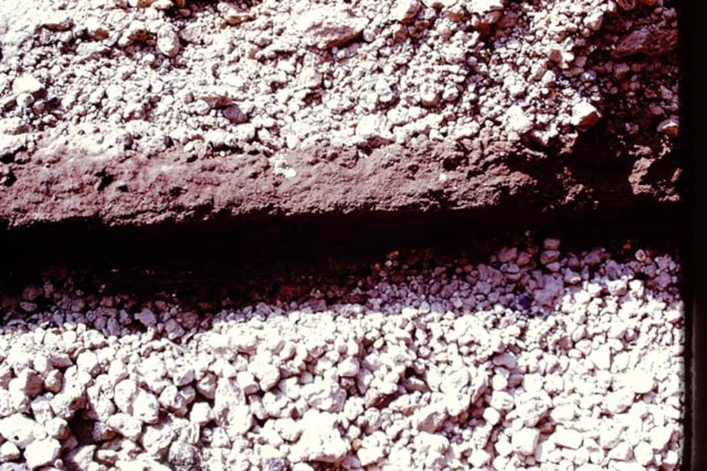 Oplontis, 1977. Differences in the layers of the eruption material. Photo by Stanley A. Jashemski.
Source: The Wilhelmina and Stanley A. Jashemski archive in the University of Maryland Library, Special Collections (See collection page) and made available under the Creative Commons Attribution-Non Commercial License v.4. See Licence and use details. J77f0112