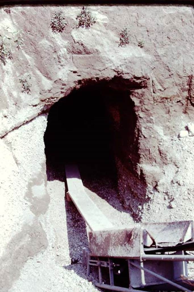 Oplontis, 1977. Digging out the debris. Photo by Stanley A. Jashemski.
Source: The Wilhelmina and Stanley A. Jashemski archive in the University of Maryland Library, Special Collections (See collection page) and made available under the Creative Commons Attribution-Non Commercial License v.4. See Licence and use details. J77f0113