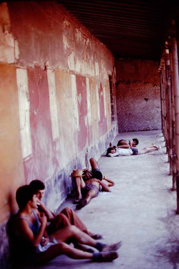 Oplontis, 1977. Room 34, siesta time in the east portico. Photo by Stanley A. Jashemski.
Source: The Wilhelmina and Stanley A. Jashemski archive in the University of Maryland Library, Special Collections (See collection page) and made available under the Creative Commons Attribution-Non Commercial License v.4. See Licence and use details. J77f0116