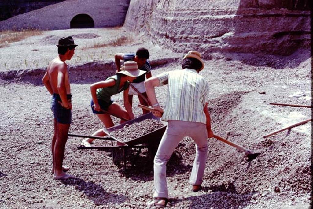 Oplontis, 1977. Looking west along north garden, digging through the lapilli to the original soil level. Looking west along north side of excavated area. Photo by Stanley A. Jashemski.
Source: The Wilhelmina and Stanley A. Jashemski archive in the University of Maryland Library, Special Collections (See collection page) and made available under the Creative Commons Attribution-Non Commercial License v.4. See Licence and use details. J77f0125
